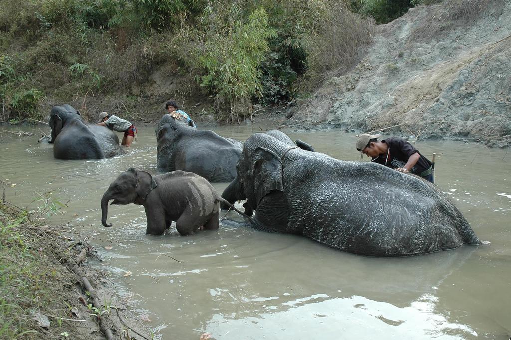 Отель Amazing Kaytu Taungoo Экстерьер фото